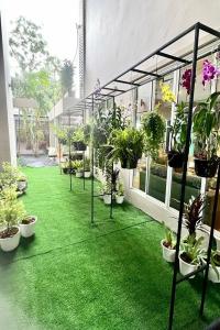 Sivana Place Phuket - 44