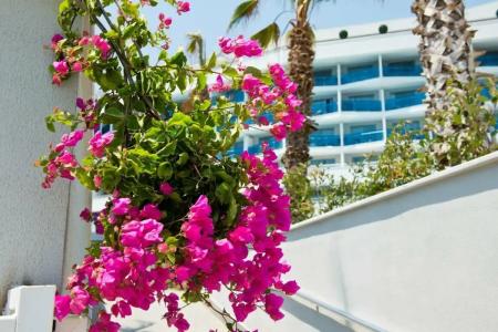 Selene Beach & Spa - Adult Only - 10