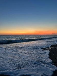 Loxia Comfort Club Side - 31