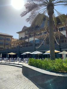 Lapita, Dubai Parks and Resorts, Autograph Collection - 30