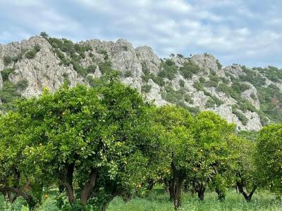 Alican Izba House - 55