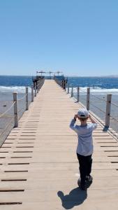 Rehana Sharm Resort - Aquapark & Spa - Couples and Family Only - 76