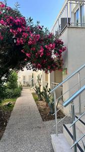 Mandarin Resort & Spa - 77