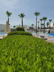 Sharm Reef Resort - 67