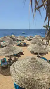 DoubleTree by Hilton Sharks Bay Resort - 88