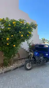 Lazuli, Marsa Alam - 25