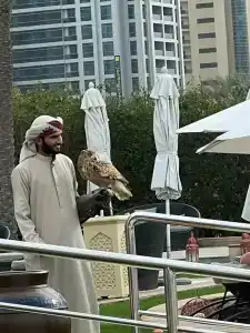 Ajman Saray, a Luxury Collection Resort, Ajman - 69
