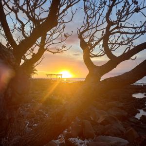 Anelia Resort & Spa - 48