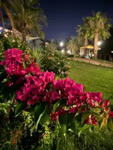 Yasmin Bodrum Resort - 23