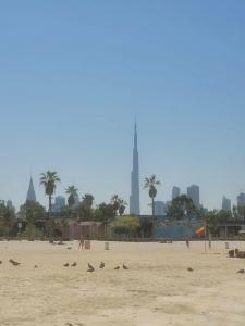 Jumeira Rotana - 99