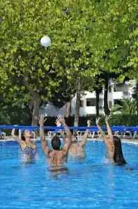 Sol Palmanova Mallorca - 89