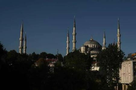 Erguvan - Special Category - 10