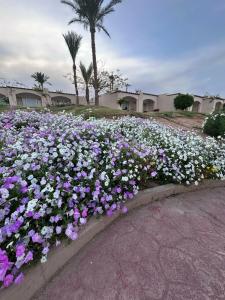 Parrotel Beach Resort - 99