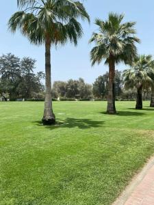 Mövenpick Grand Al Bustan Dubai - 30