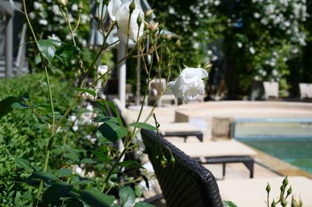 Ville Sull'Arno - 15