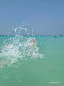 The Castello Resort - 47