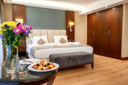 Grand Aras & Suites - 94