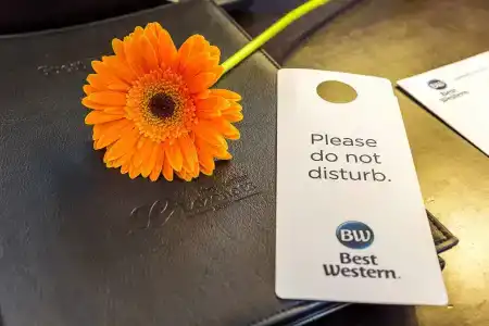 Best Western Lozenetz - 8