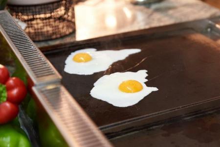 DWO Sirius - Adults Only - 76