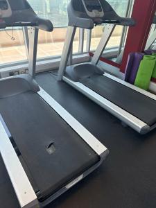 Montreal Barsha - 49