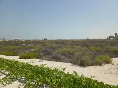 Saadiyat Rotana Resort and Villas - 46