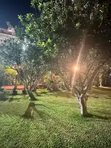 Akka Claros - All Inclusive - 51