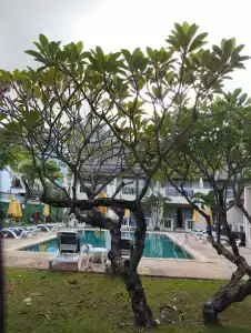 Centara Kata Resort Phuket - SHA Plus - 50