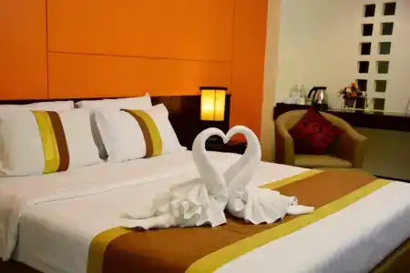 The Color Living