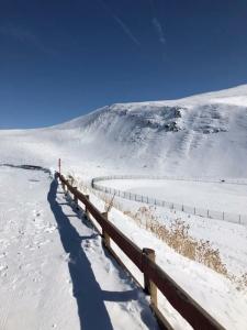 Polat Palandöken - 82