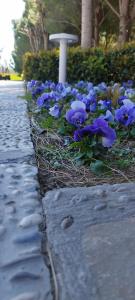 Lara Barut Collection - All Inclusive - 45