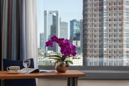 Maritim Frankfurt - 33