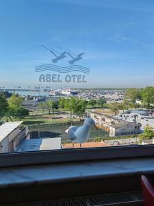 Abel - 8