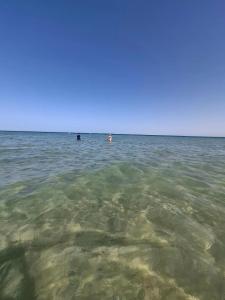 Imperial Shams Abu Soma - 86