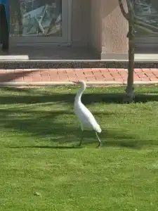 Xperience Kiroseiz Parkland - 34