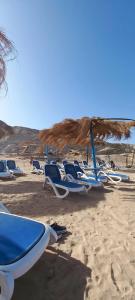 Sharm Bride Resort Aqua & SPA - 68