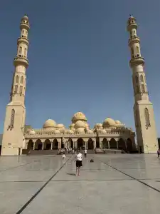 Seagull Beach Resort - Families and Couples Only - 37