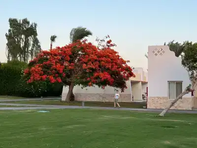 Dahab Lagoon Club & Resort Ex Tirana Dahab - 12