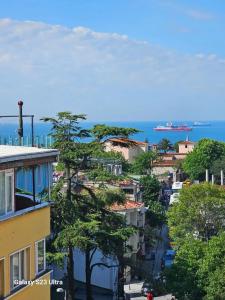Armagrandi Spina-Special Category - 24