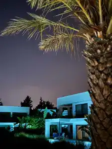 Paloma Finesse Side - 39