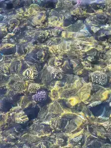 Sheraton Sharm, Resort, Villas & Spa - 18