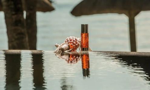 Royal Palm Beachcomber Luxury - 21