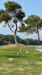 Titanic Deluxe Golf Belek - 35