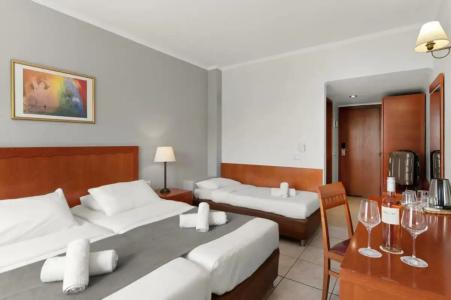 Ariti Grand - 36