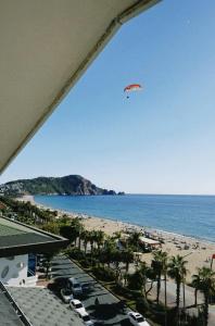 Kleopatra Celine - 32