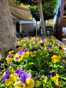 Ramada Resort By Wyndham Lara - 53