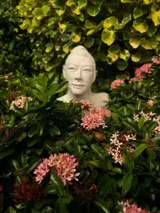 Andaman Cannacia Resort & Spa - SHA Extra Plus - 38