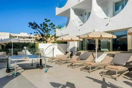 Vibra Palma Cactus - 33