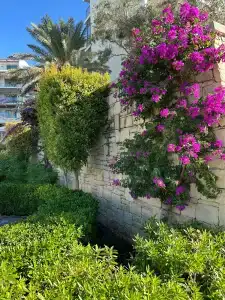 Akra Sorgun Tui Blue Sensatori - All Inclusive - 28