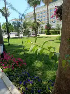 Royal Garden Beach - 84