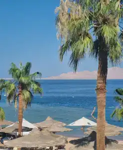 Savoy Sharm El Sheikh - 39